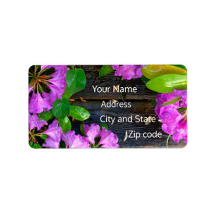 Elegante rosa Blumen rosa Azaleen rosa Blume Adressaufkleber