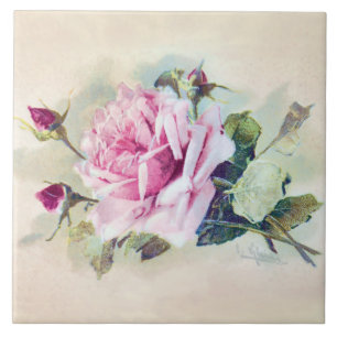 Elegante rosa con capullos de rosa fliese
