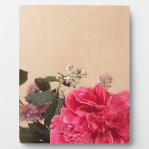 Elegante rosa Creme Blumen Fotoplatte