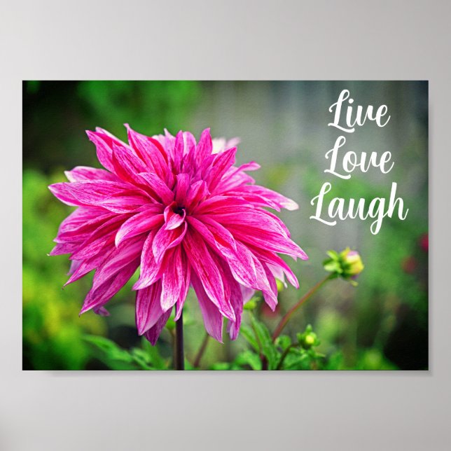 Elegante Rosa Dahlia Garden Blume Motivierend Poster (Vorne)