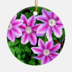 Elegante rosa florale grüne Botanik Keramikornament