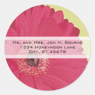 Elegante rosa Gerber-Daisy-Hochzeitsaufkleber Runder Aufkleber
