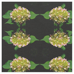 Elegante, rosa Hydrangea-Blume Stoff