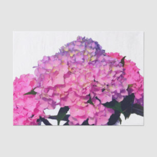 Elegante, rosa, lila Blumendörfchen Hydrangeas Seidenpapier