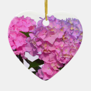 Elegante, rosa, lila, blumenreiche Hydrangeas Keramikornament