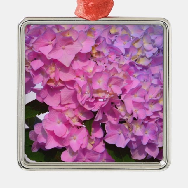 Elegante, rosa, lila, blumenreiche Hydrangeas Silbernes Ornament (Vorne)