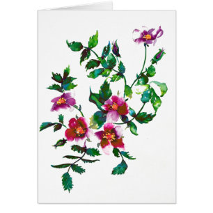 Elegante rosa Magenta Aquarellblumen