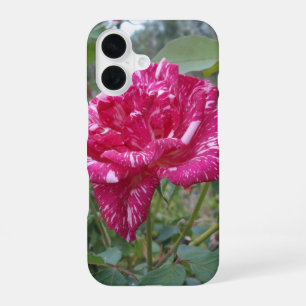 Elegante rosa mit rosa-weißen Streifen, iPhone 16 Hülle