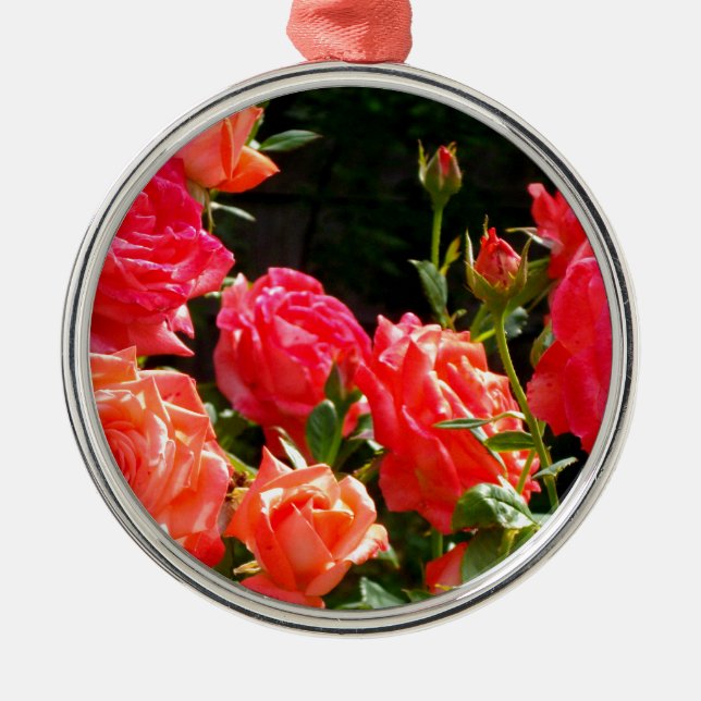 Elegante, rosa, orangefarbene Rose Silbernes Ornament (Vorne)