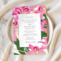 Elegante Rosa Orchid Blooms Tropische Blumenhochze