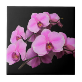 Elegante rosa Orchids Phalaenopsis auf schwarz Fliese