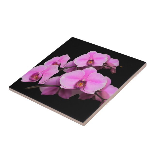 Elegante rosa Orchids Phalaenopsis auf schwarz Fliese (Seite)