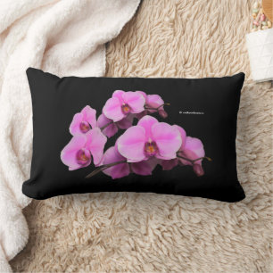 Elegante rosa Orchids Phalaenopsis auf schwarz Lendenkissen