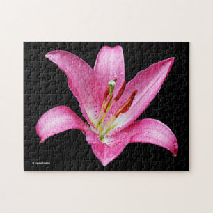 Elegante rosa orientalische Lilie Lilium Stargazer Puzzle