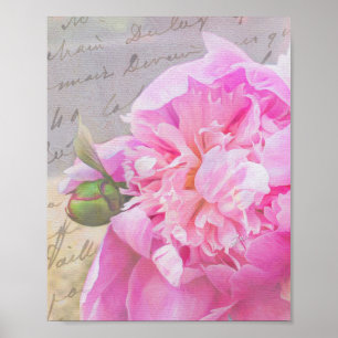 Elegante rosa Pfingstrose Floral mit Texturen Schr Poster