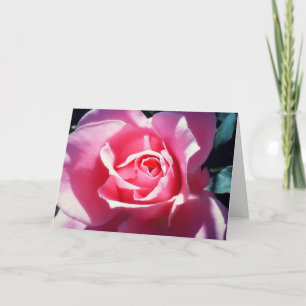 Elegante rosa Rosenvalentine-Karte Feiertagskarte