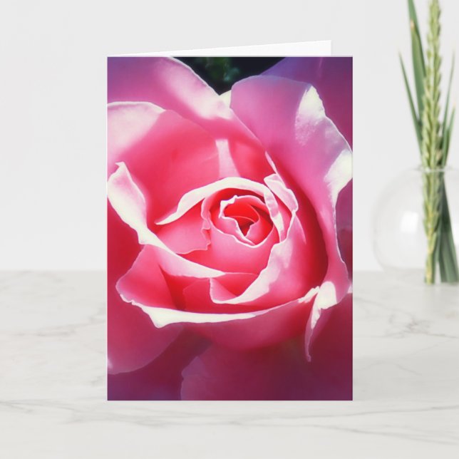 Elegante Rosa Roses Valentine Card Feiertagskarte (Vorderseite)