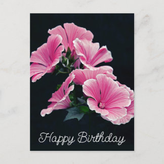 Elegante rosa Stockrosen-Malve Malvenblüte Postkarte