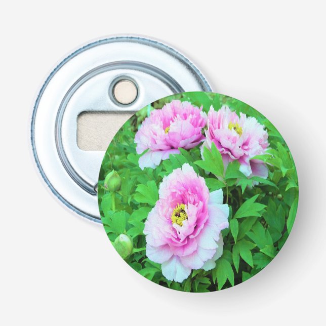 Elegante Rosa Tree Peony Blume mit Gelbzentrum Flaschenöffner (Vorderseite)