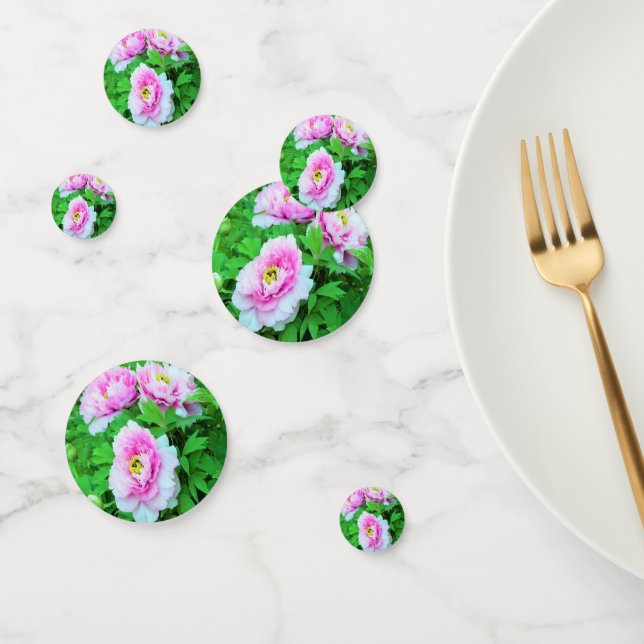 Elegante Rosa Tree Peony Blume mit Gelbzentrum Konfetti (Gruppe)