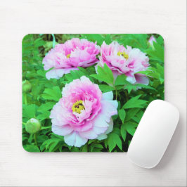 Elegante Rosa Tree Peony Blume mit Gelbzentrum Mousepad