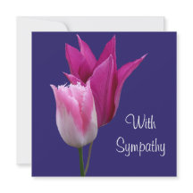 Elegante, rosa Tulpe Blume Beileid