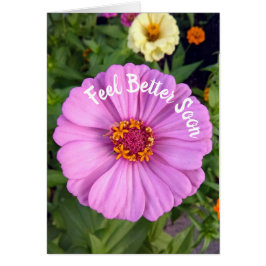Elegante rosa Zinnia Blume Fee Better Card
