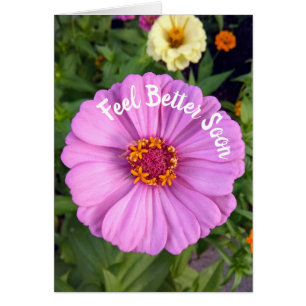 Elegante rosa Zinnia Blume Fee Better Card