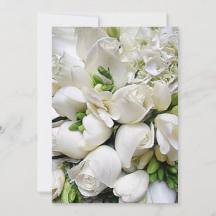 Elegante Rose - alle Fälle_