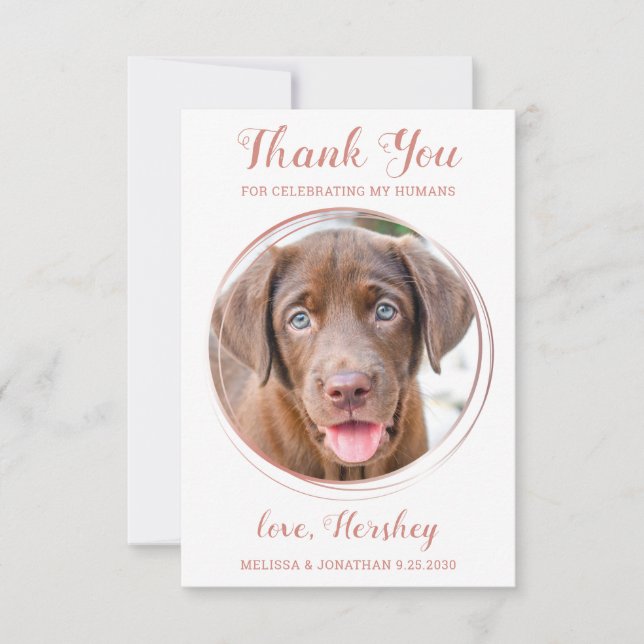 Elegante Rose Gold Custom Dog Foto Haustier Hochze Dankeskarte (Vorderseite)