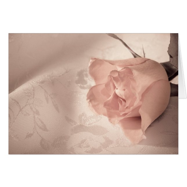 Elegante Rose-Karte, um jede Art von woll anzupass (Vorderseite (Horizontal))