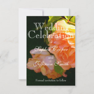 Elegante Rose mit orangefarbenen Pfirsichfarben Save The Date