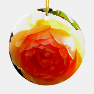 Elegante Rose mit roten Aprikosen/Marillen Keramikornament