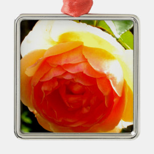 Elegante Rose mit roten Aprikosen/Marillen Ornament Aus Metall