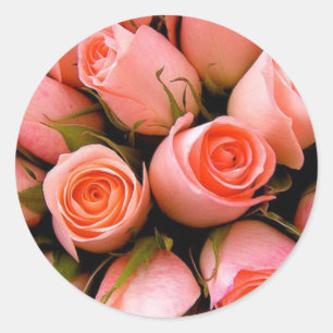 ELEGANTE ROSE UMSCHLAG AUFKLEBER STICKERS
