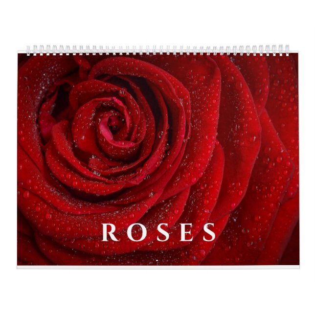 Elegante Rose und Blumenfotografie Kalender (Titelbild)