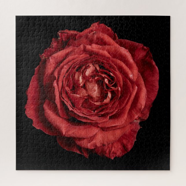 Elegante Rosensammlung auf Schwarz Puzzle (Vertikal)