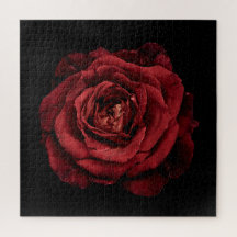 Elegante Rosensammlung auf Schwarz