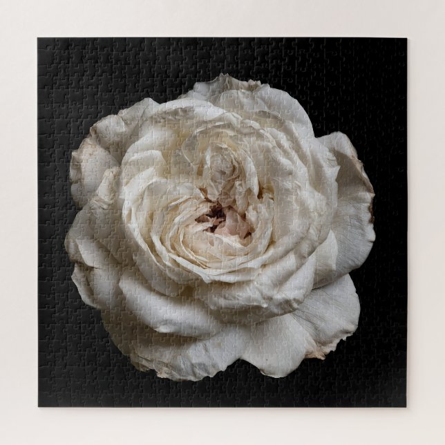 Elegante Rosensammlung auf Schwarz Puzzle (Vertikal)