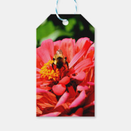 Elegante Rote Blütenkoralle Zinnia Hummel Geschenkanhänger