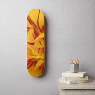 Elegante Rote Kirche Santa Maria delle Grazie Skateboard