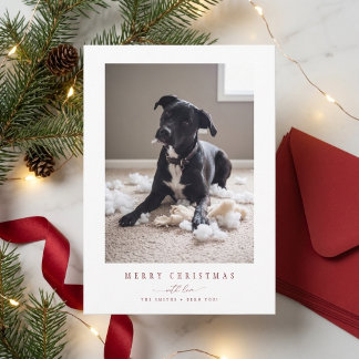 Elegante rote lustige Hunde-Foto-Weihnachtskarte Feiertagskarte