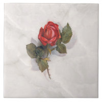 Elegante Rote Rose auf Gray Marble BG