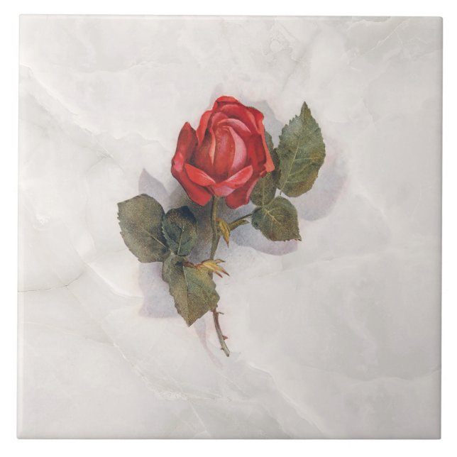 Elegante Rote Rose auf Gray Marble BG Fliese (Vorderseite)