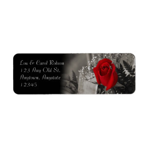 Elegante Rote Rose blenden