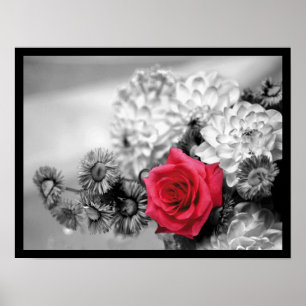 Elegante Rote Rose Poster