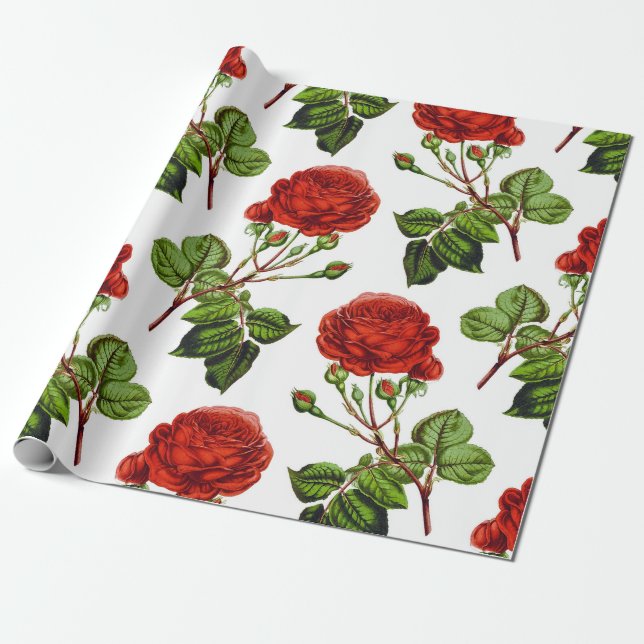 Elegante Rote Rosen Blumenmuster Blume| Geschenkpapier (Ungerollt)