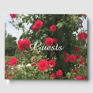 Elegante Rote Rosen Gästebuch