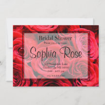 Elegante rote Rosen Rote Blume Rote Blüte