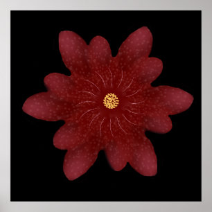 Elegante rote Samtblume auf Schwarz   Dunkle Blume Poster